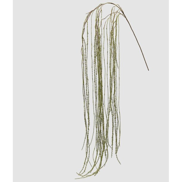 Lycopodium Lt. green L 186 cm
