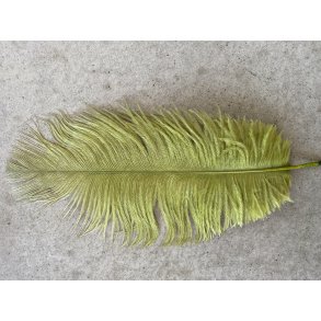 Strudsefjer Oliven 30-35 cm pr. stk 