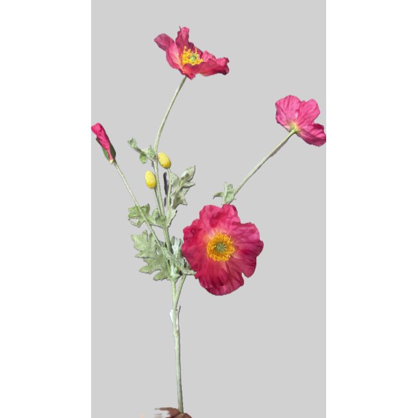 Poppy pink 69 cm