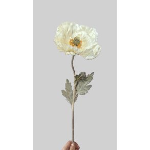 Poppy silk cream 75 cm