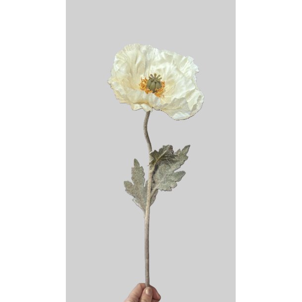 Poppy silk cream 75 cm