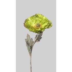 Poppy green 75 cm
