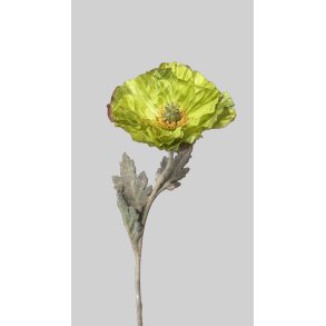 Poppy green 75 cm