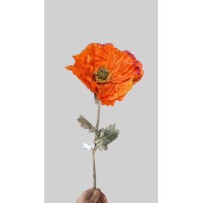 Poppy orange 75 cm