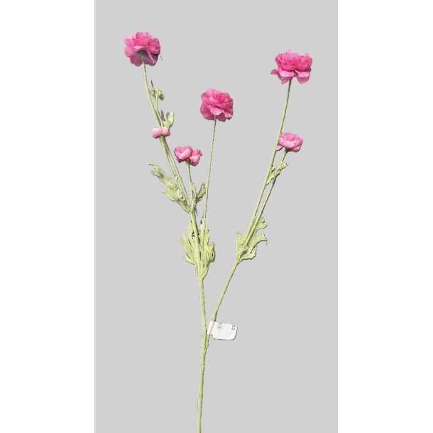 Ranunkel rose 66 cm 