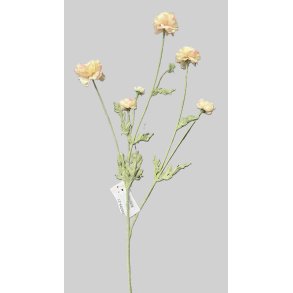 Ranunkel salmon 66 cm