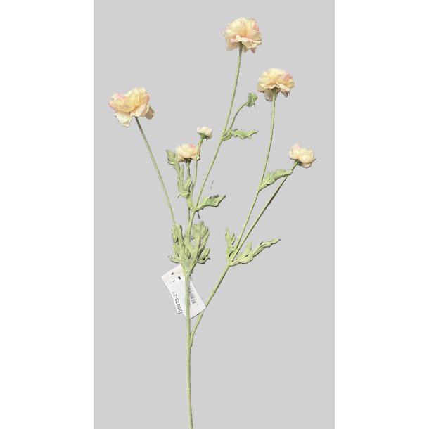 Ranunkel salmon 66 cm