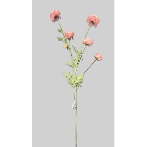 Ranunkel pink 66 cm