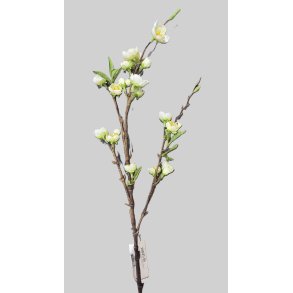 Peach blossom spray creme 77 cm