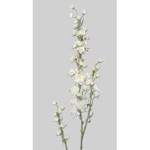 Delphinium white 87 cm