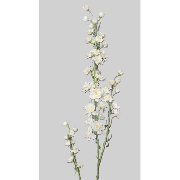 Delphinium white 87 cm