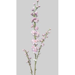 Delphinium lt. purple 87 cm