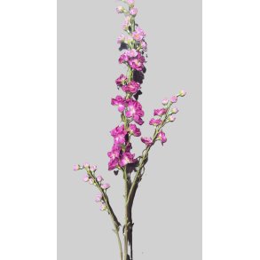 Delphinium erika 87 cm