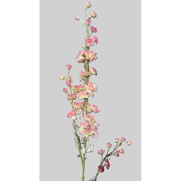 Delphinium pink 87 cm