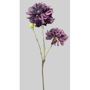 Daisy burgundy 67 cm