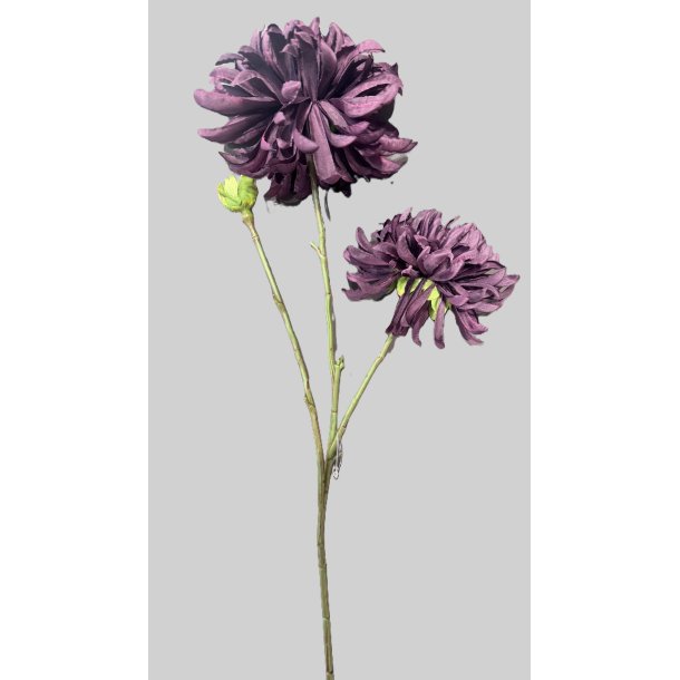 Daisy burgundy 67 cm