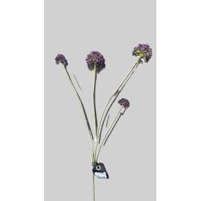 Snowball burgundy 55 cm