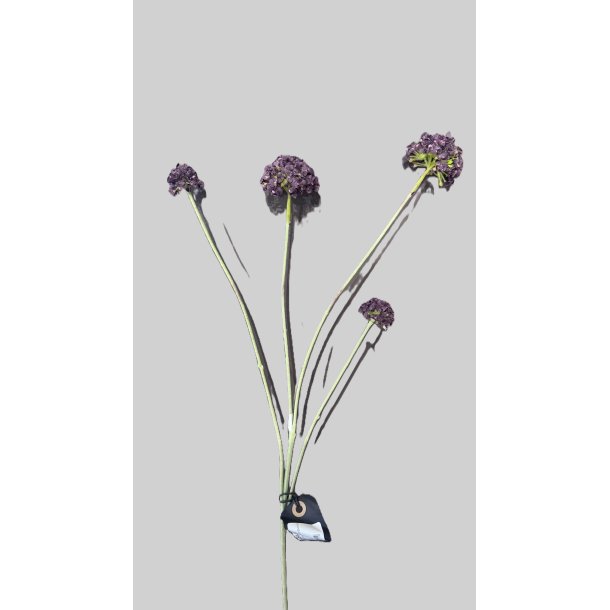 Snowball burgundy 55 cm