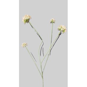 Snowball salmon 55 cm