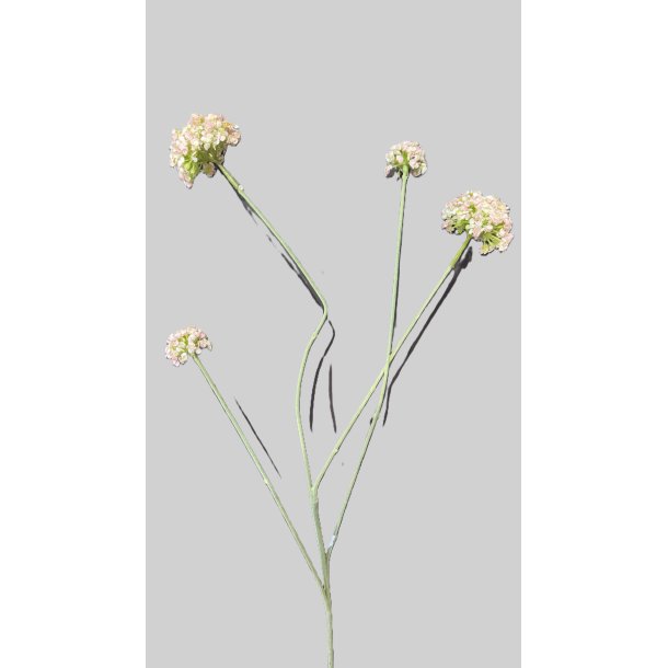 Snowball salmon 55 cm