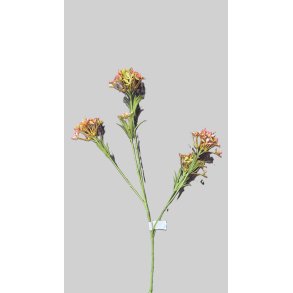 Wild blossom pink 56 cm