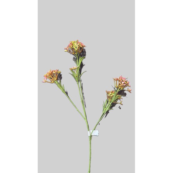 Wild blossom pink 56 cm