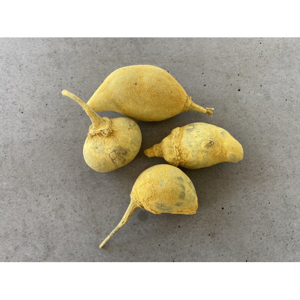 Baobab Mini 250 gr. Yellow (ca.15 stk.)