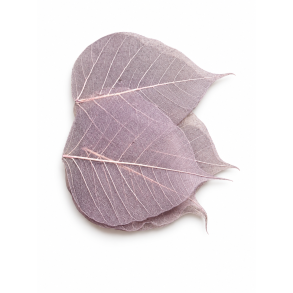 Skelteton Blad Warming Grau, 200 stk. 