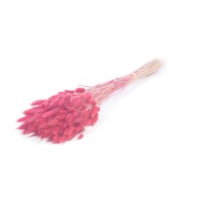 Lagurus H. Pflaume, 100 gr.