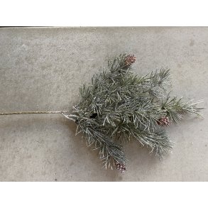 frostet Lrke grangren 40 cm (WH002)