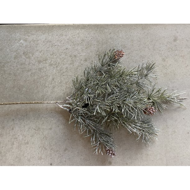 frostet Lrke grangren 40 cm (WH002)