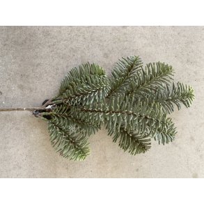 Grangren 40 cm ( DG002)