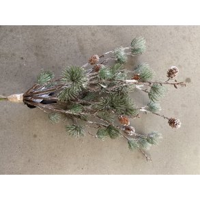 froster lrke bund 8 stilke 40 cm (WH-59