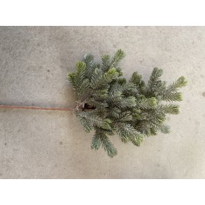 Frostet Gran gren 50 cm (WH-599)