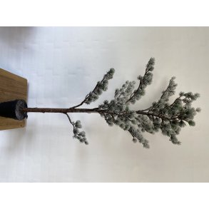 Ming Tr med Sne 120 cm (WH-826)