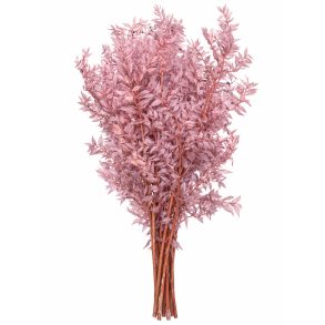 Ruskus Warm Gr�/rosa