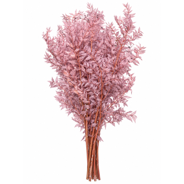 Ruskus Warm Gr�/rosa