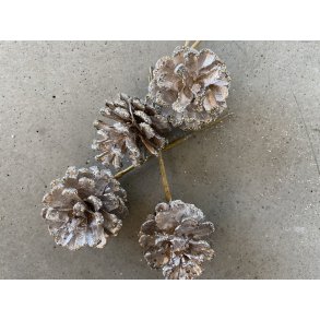 Fyrkogle Platin 36 stk