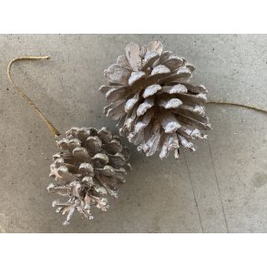 Fyrkogle platin, 12 stk