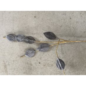 Bladgren Iret Grn, pr. gren 