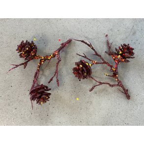 Koglegren med 2 kogler, bordo, 72 stk. 