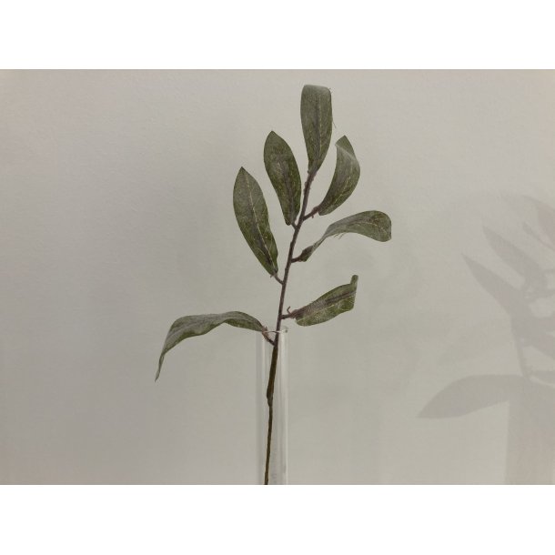 Olivenblade 144 stk. 