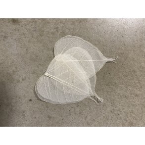 Skeleton Blad Hvid, 200 stk. 