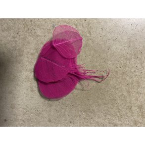 Skeleton Blad Cyclame, 200 stk