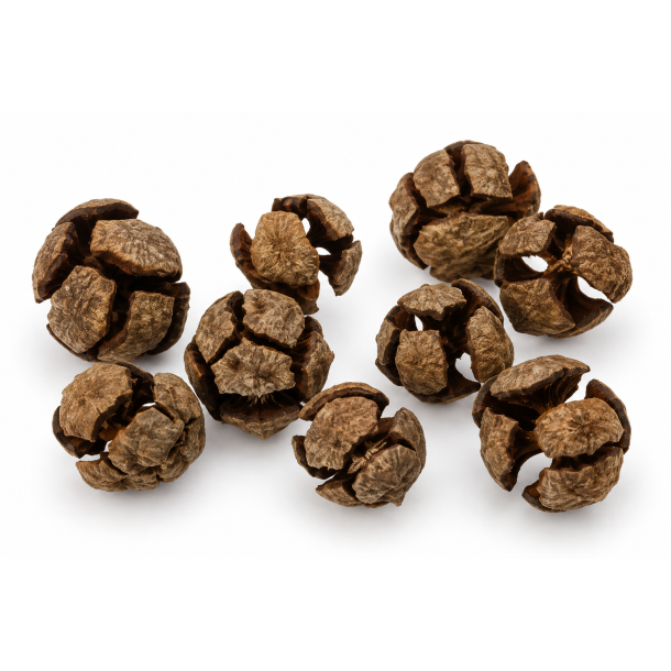 Cypreskogler, 2 kg. 