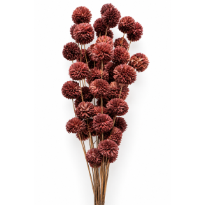 Kopi af Ting shola kadam D 4 cm L 70 cm