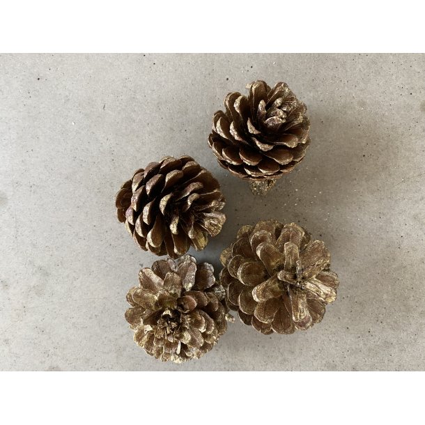 Pine Cone Gold Wash, 1  kg