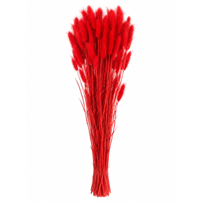 Lagurus R�d, 100 gr. 