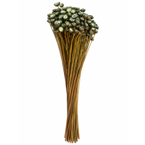 Glixia Gigante, Silbergr�, 100 gr.