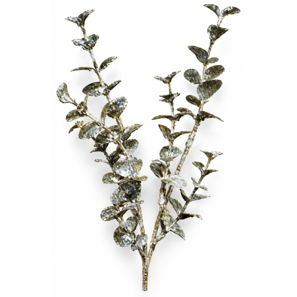 Eucalyptusgren Patina, 30 cm, pr. stk.  